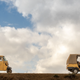 Image for article titled Watch Two Mighty Tuk-Tuks Go Off-Road Through Africa